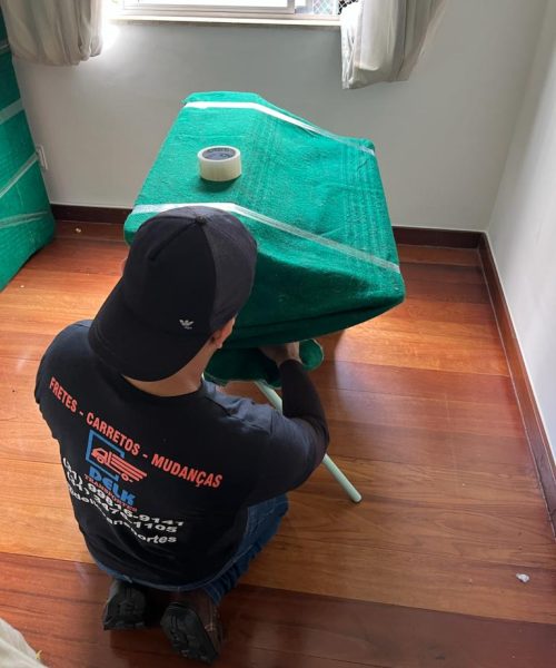 Delk Mudanças Carretos E fretes (8)